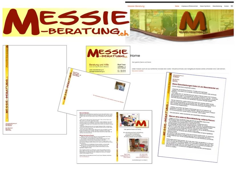 corporate identity messieberatung