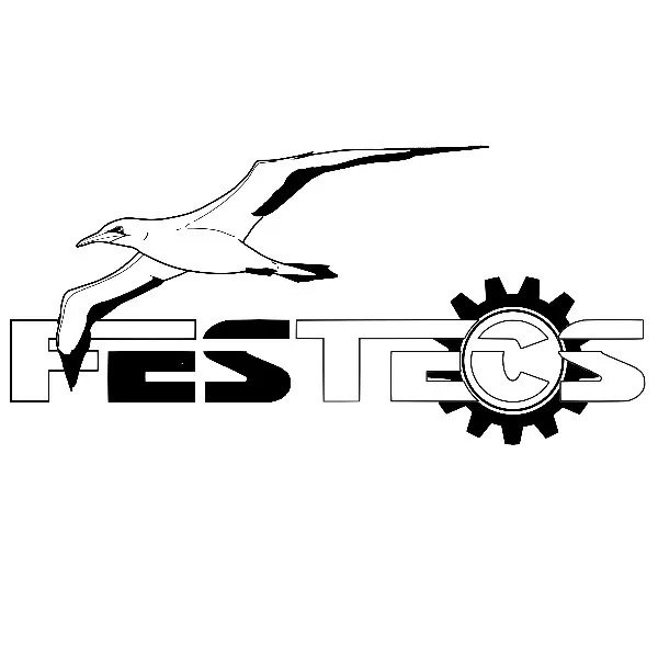 feser-schweiz-logos-grafiken-vektor-festecs_01