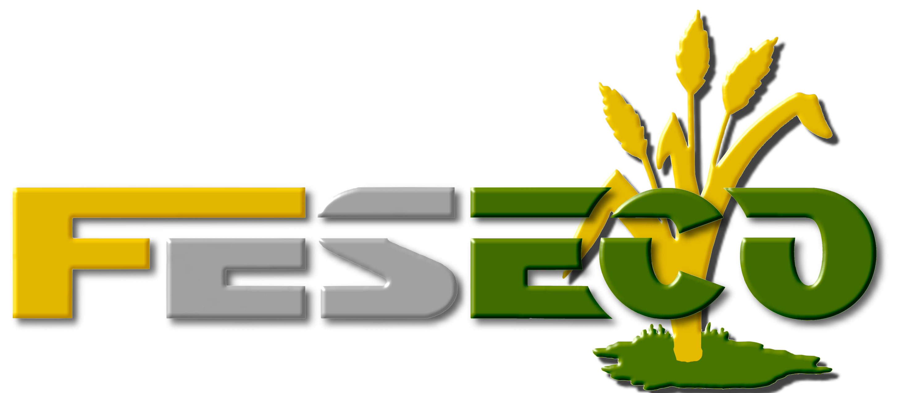 feseco logo