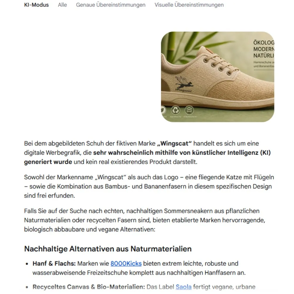 feser-ch-schuh-bilderrücksuche-muster_01