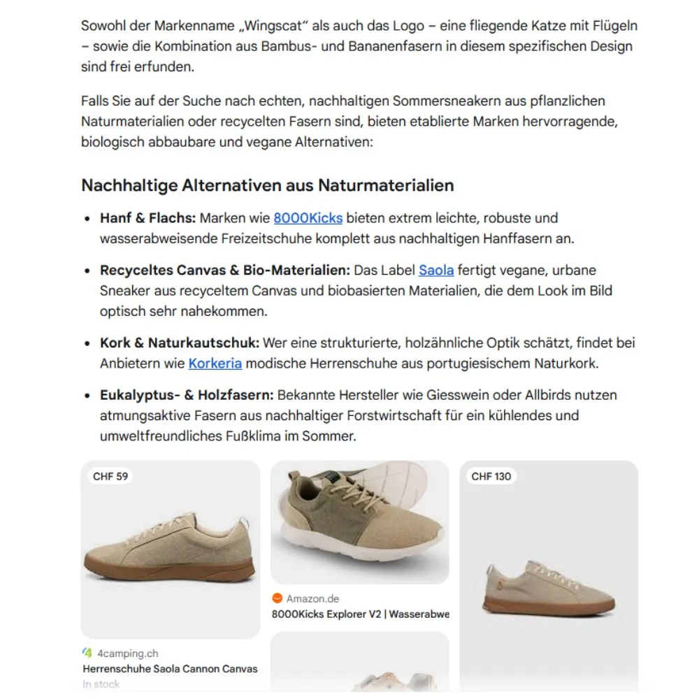 feser-ch-schuh-bilderrücksuche-muster_02