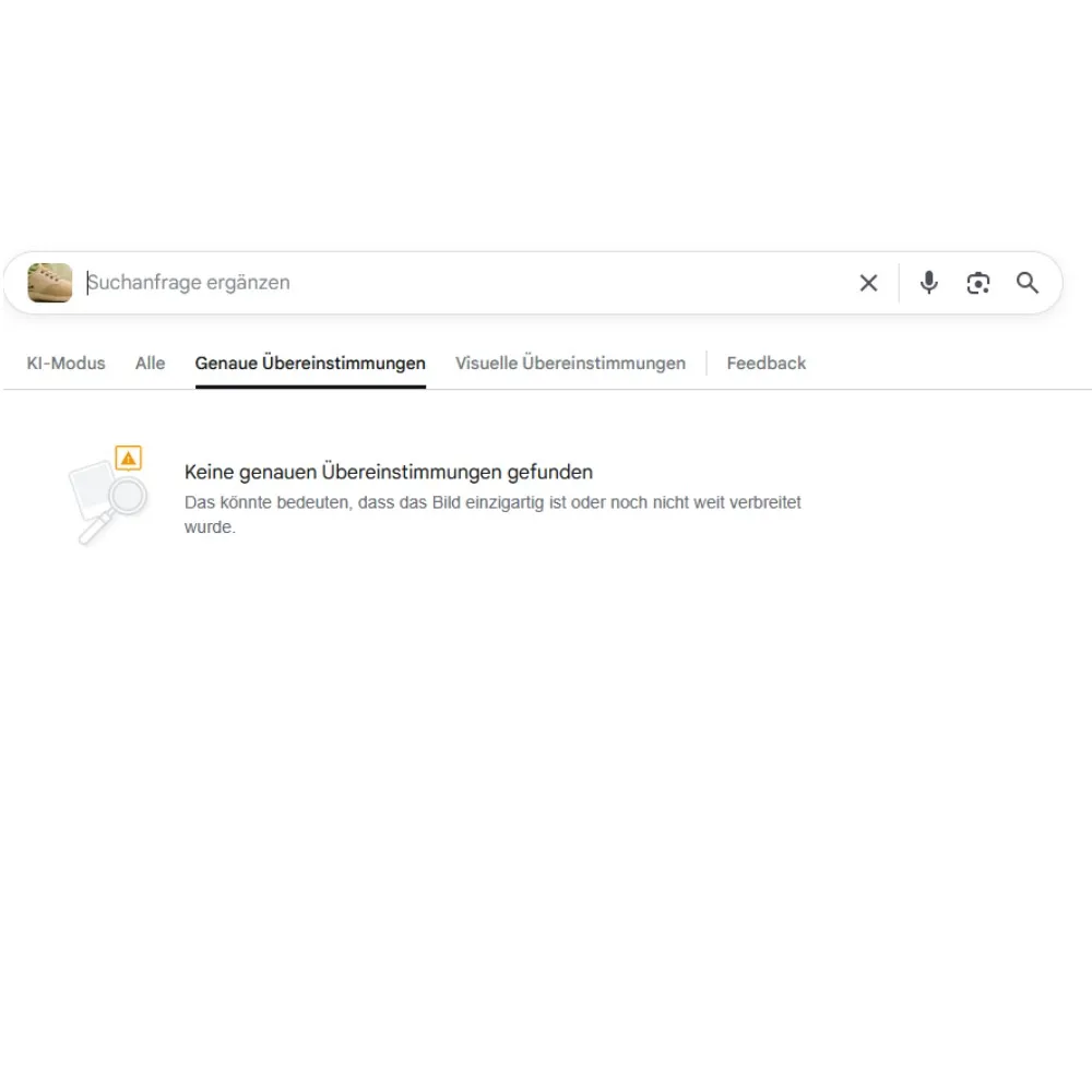 feser-ch-schuh-bilderrücksuche-muster_03