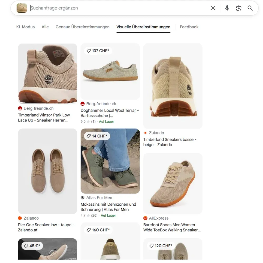 feser-ch-schuh-bilderrücksuche-muster_04