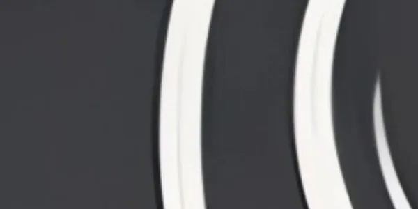 fesr ki bild zu vektor umwandeln 002