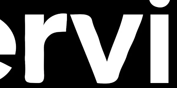 fesr ki bild zu vektor umwandeln 007