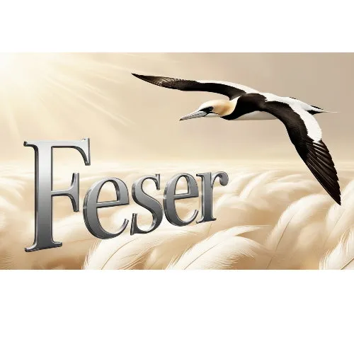 feser-ki-logos-vektor_19