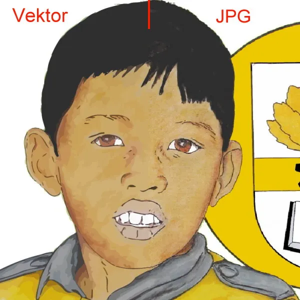 feser-schweiz-grafik-vergleich-vektor-jpg_01