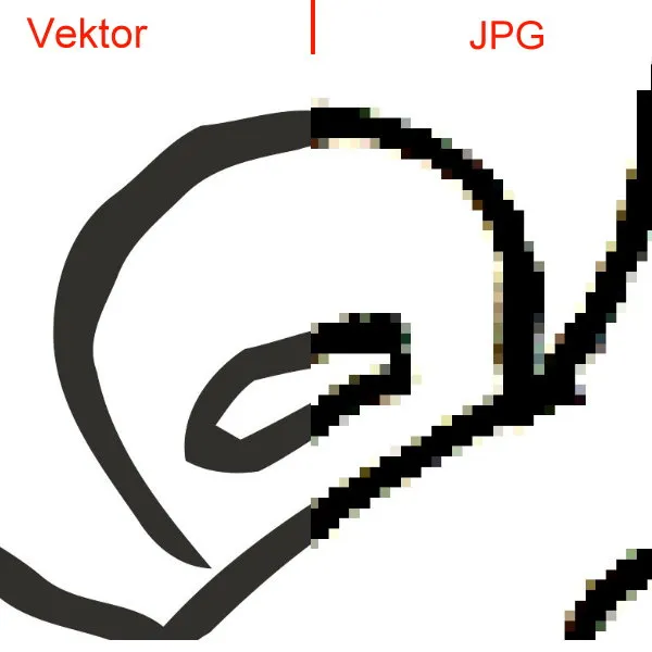 feser-schweiz-grafik-vergleich-vektor-jpg_03