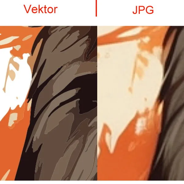 vergleich-vektor-jpg_04